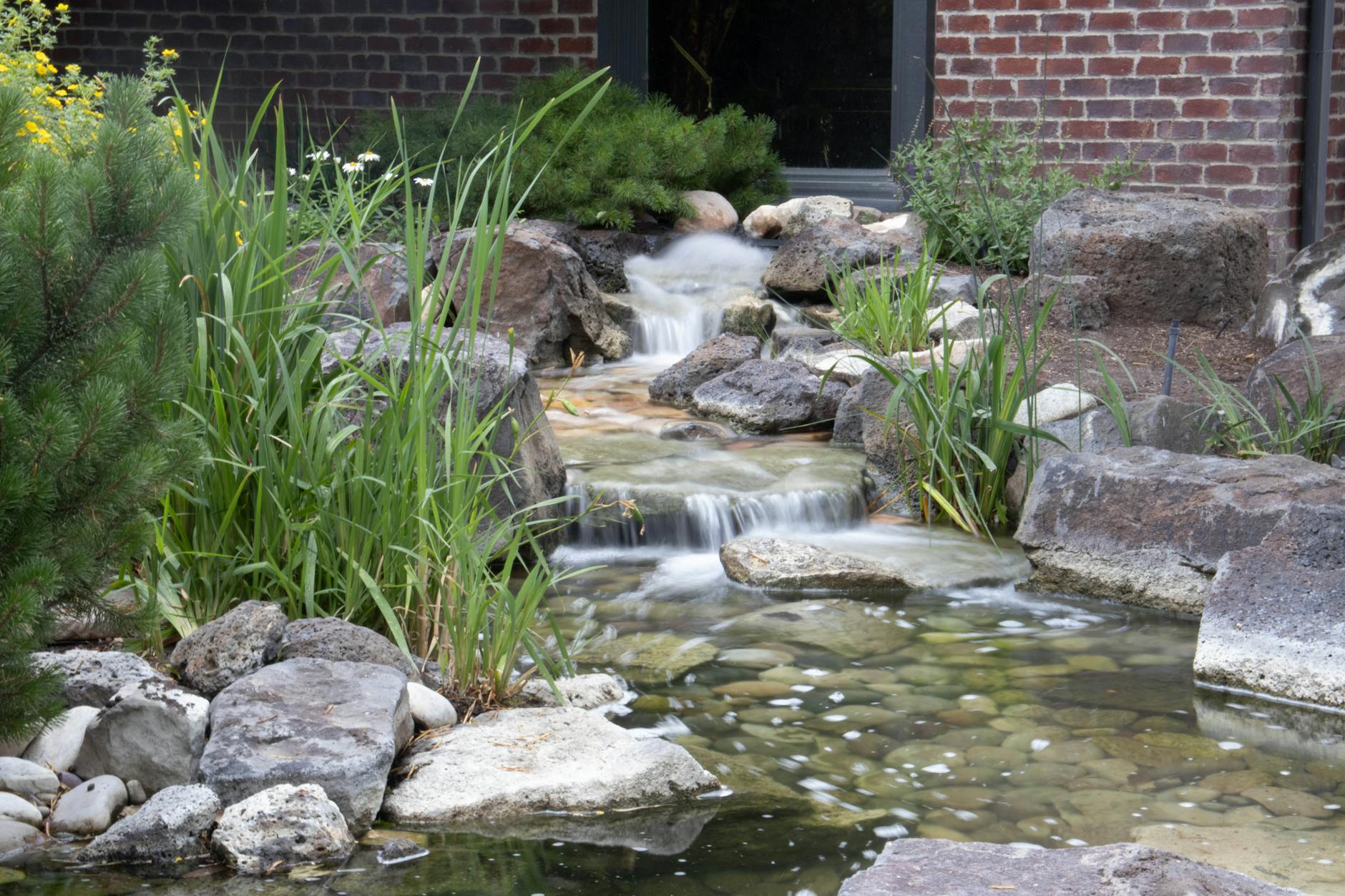 Oczko wodne z kaskadą w ogrodzie otoczone bujną roślinnością i kamieniami